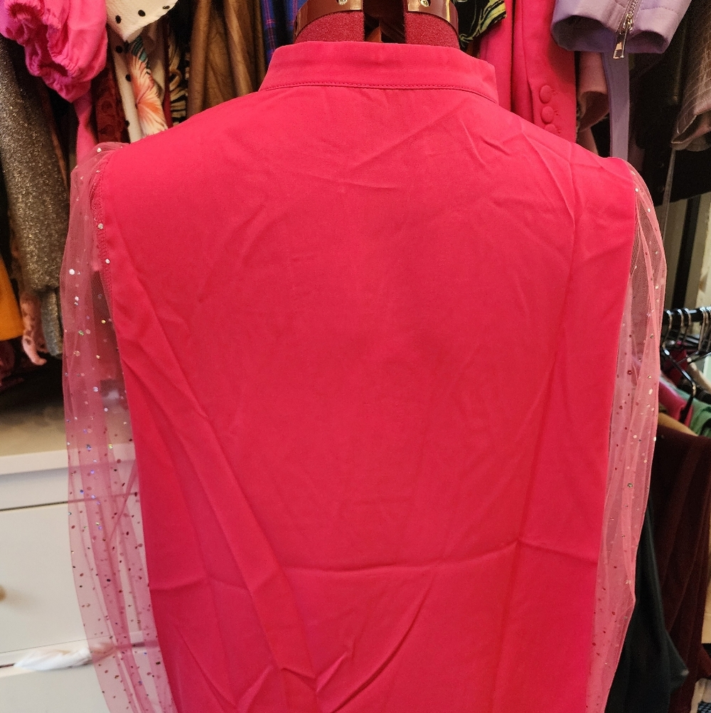 Pink Blouse with Sheer Sparkle Sleeves
